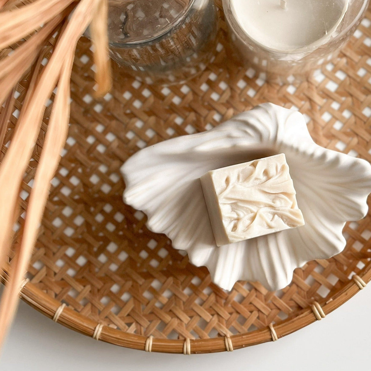 Seashell | Ceramic