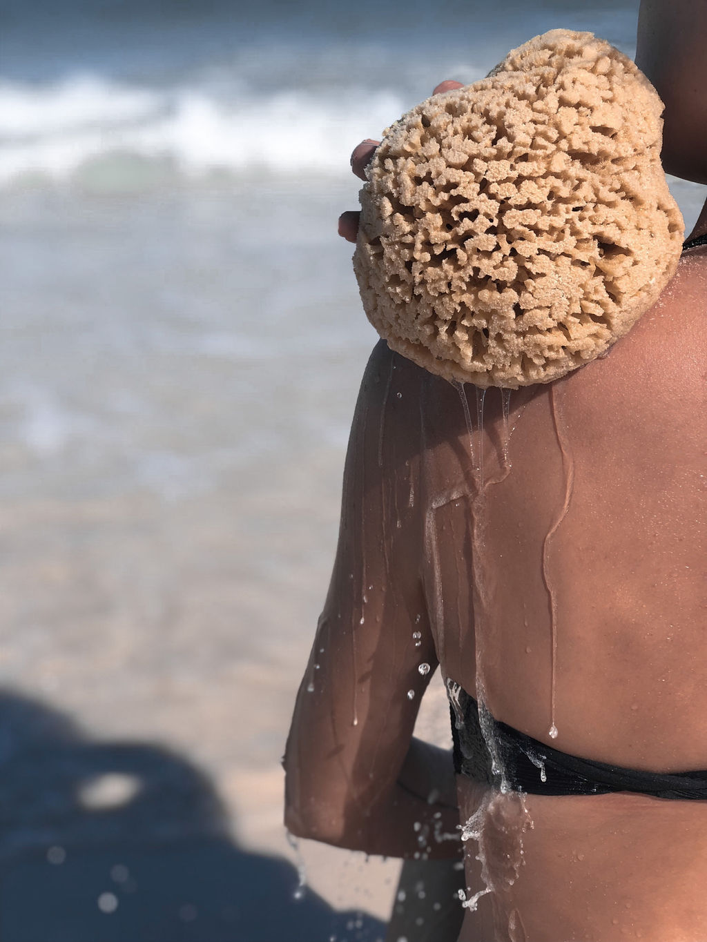 Natural Sea Sponge