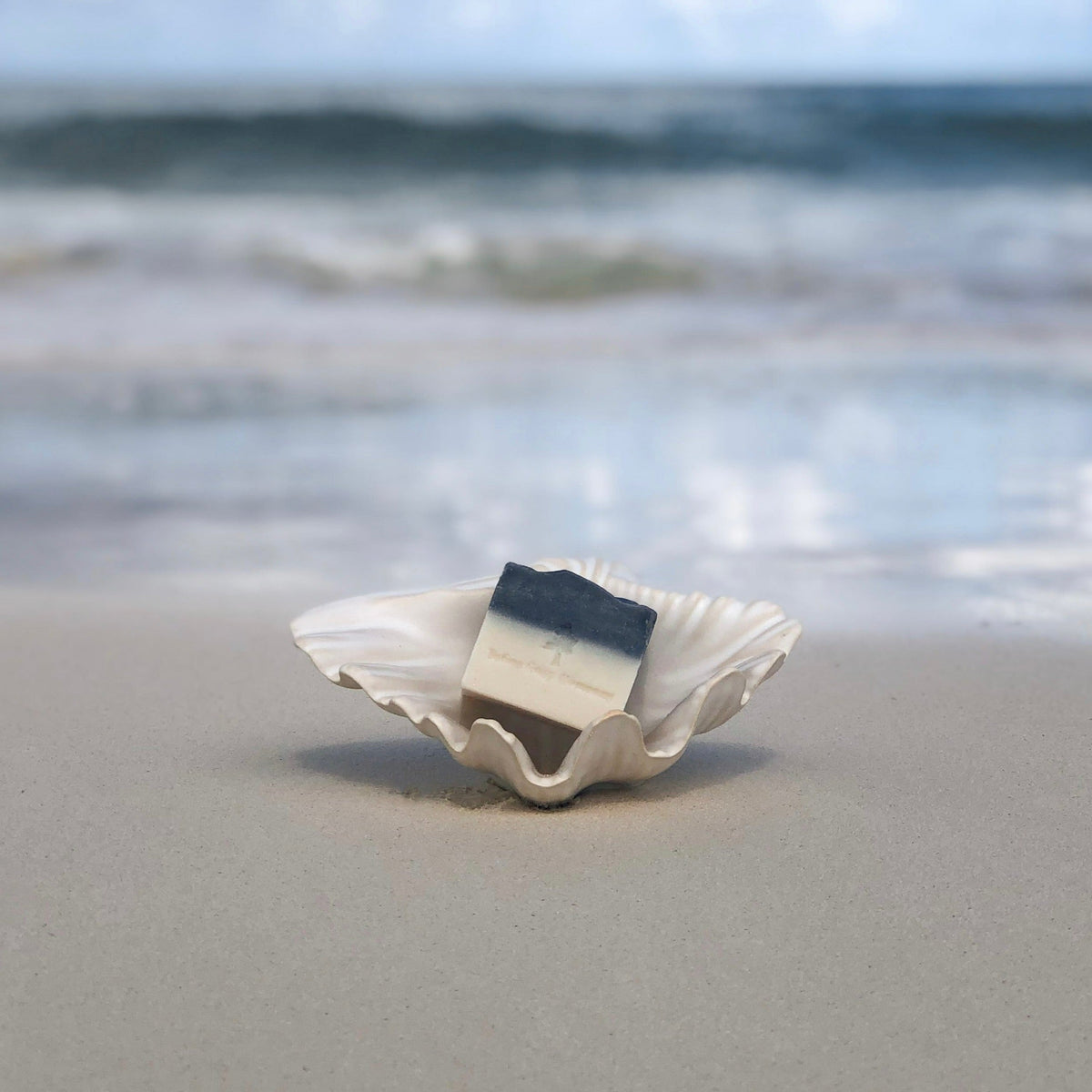Seashell | Ceramic
