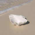 Seashell | Ceramic