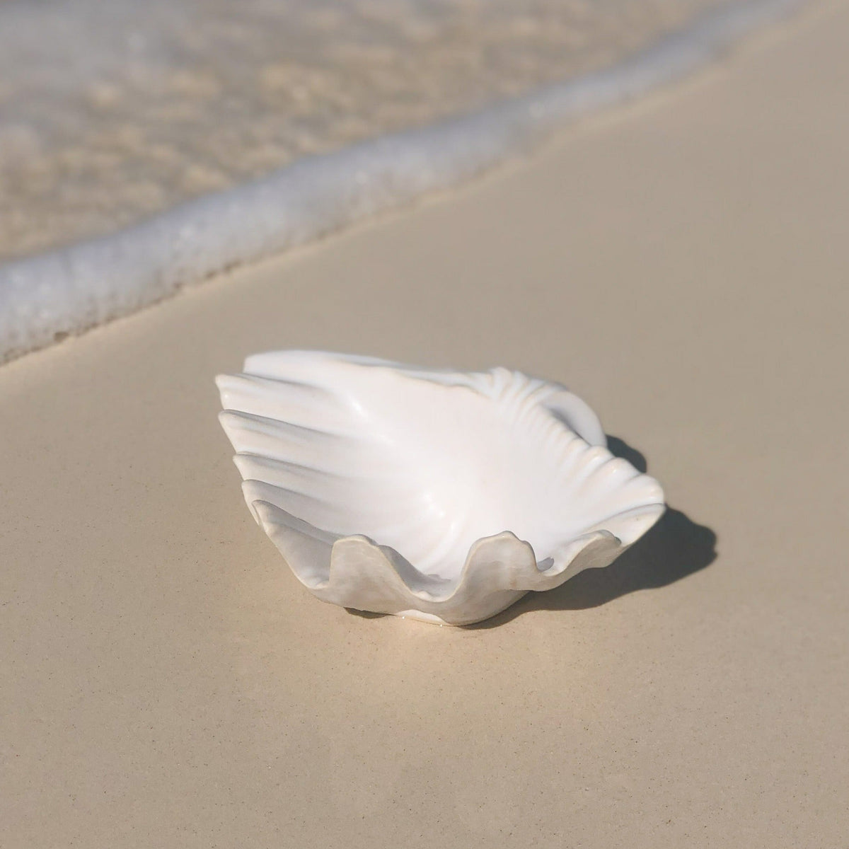 Seashell | Ceramic