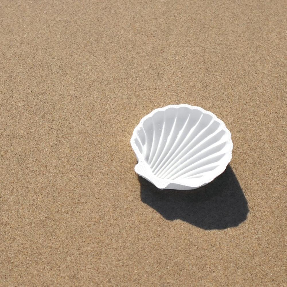 Shell Dish